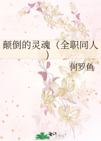 Bìa truyện Điên Đảo Đích Linh Hồn Toàn Chức Đồng Nhân (颠倒的灵魂（全职同人))
