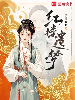 Bìa truyện Hồng Lâu Di Mộng (红楼遗梦)