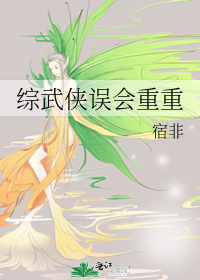 Bìa truyện Tống Vũ Hiệp Ngộ Hội Trọng Trọng (综武侠误会重重)