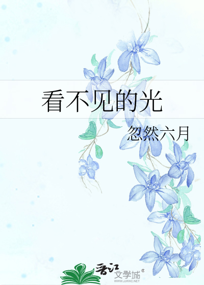 Bìa truyện Khán Bất Kiến Đích Quang (看不见的光)