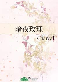 Bìa truyện Ám Dạ Mai Khôi (暗夜玫瑰)